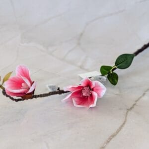 Magnólia ág-korall