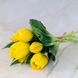 Élethű gumis tulipán-sàrga