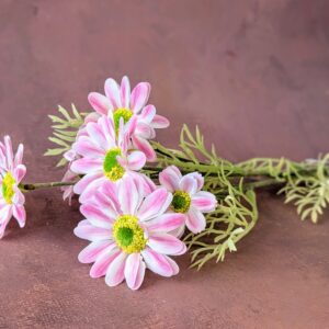 Szálas pillangóviràg- rózsaszín