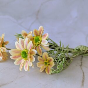 Szálas pillangóviràg-sárga