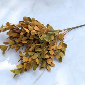 Festett sárga növény