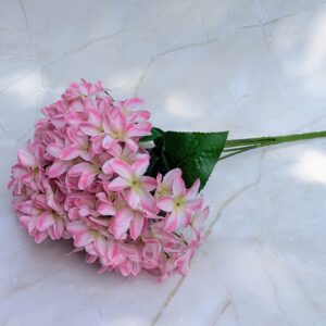 Szeldelt szirmú hortenzia csokor - Cirmos rózsaszín