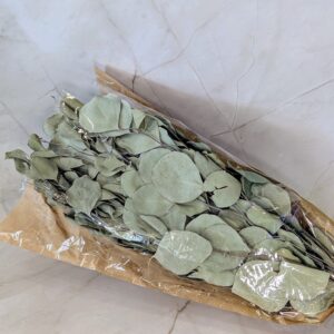 Populus csokor szárított