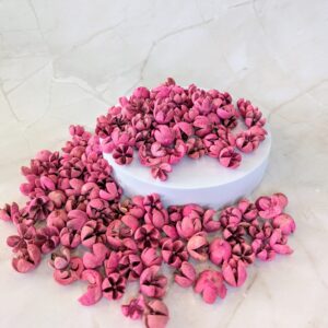 Chiruni száraz termés -Pink