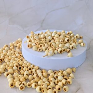 Eukalyptus termés mini fehérített