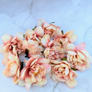 Dekor fejviràg - cirmos barack