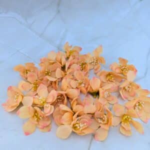 Dekor apró fejviràg barack