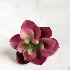 Mű pozsgàs növény sötét rózsaszín