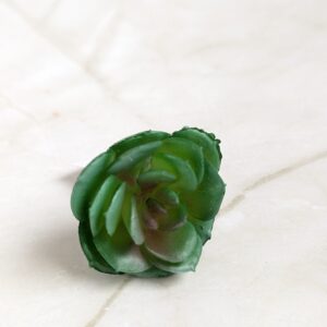 Mű pozsgàs növény -zöld