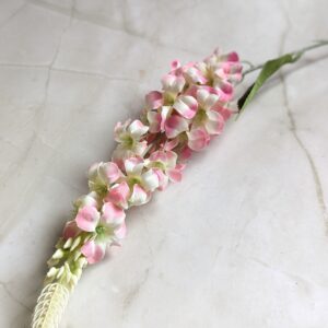 Szálas szarkaláb - Cirmos rózsaszín