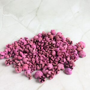 Chiruni száraz termés rózsaszínes lilás