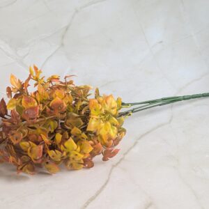 Sárga-zöld növény