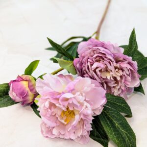 Peoni ág-cirmos lila