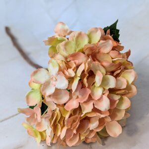 Hortenzia ág levéllel - Barack