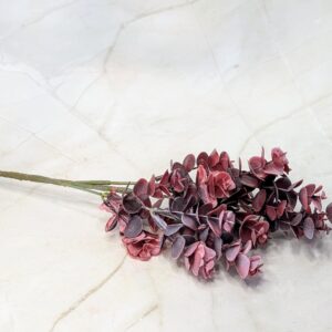 Eukalyptghus ág Bordó