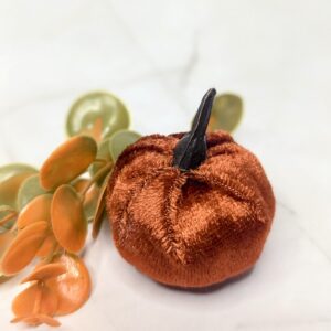 Sötétbarna bársony tök