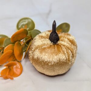 Krém színű bársony tök