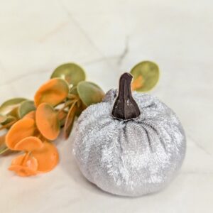 Ezüst színű bársony tök