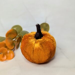 Őszi tök sárga bársony tök