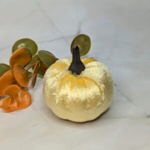 Halvány sárga bársony tök