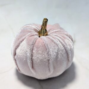Őszi bársony tök - halvány rózsaszín