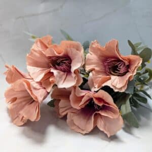 Hamvas levelű mákvirág - Antik barack