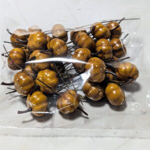 Drótos tök 2,5cm*30 - Barna