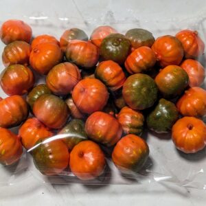 1 csomag- Műtök 2,5 cm - Zöldes