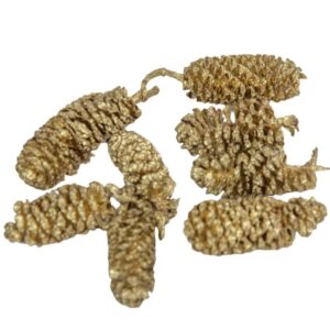 Éger indiai arany 10dkg/csom