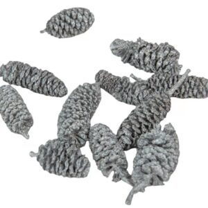 Éger indiai ezüst 10dkg/csom