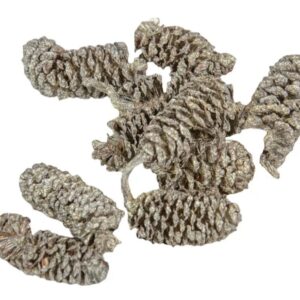 Éger indiai pezsgő 10dkg/csom