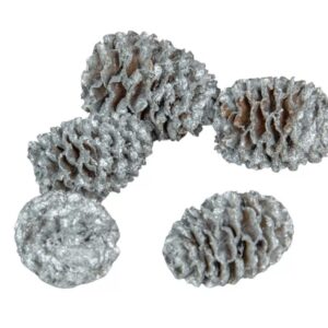 Meridianum ezüst 10dkg/csom