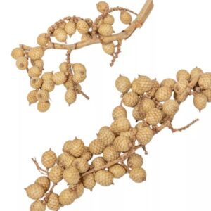 Canella cutting bogyós termés natúr 17dkg/csom