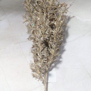 Nagy pezsgő fenyő ág