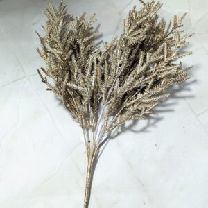 Pezsgő színű fenyő