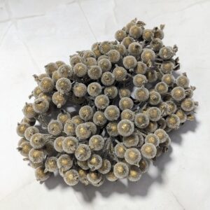 Csillámos drótos bogyó - Arany