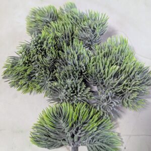 Műzöld vörösfenyő ág - Hamvas