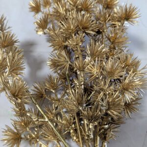 Arany színű fenyő