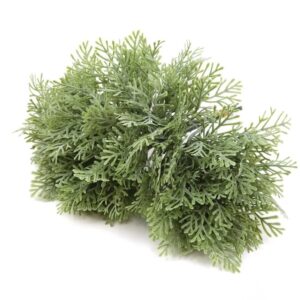 Téli műzöld pikk köteg