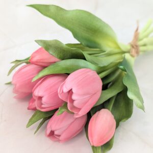 Élethű gumis tulipán- mályva