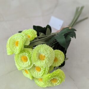 Szászorszép kötegelt- zöld