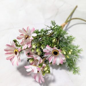 Dekor csokros pillangóvirág - Cirmos