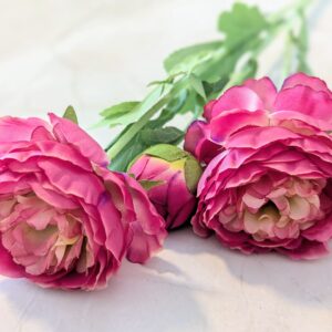 Szálas boglárka-mályva