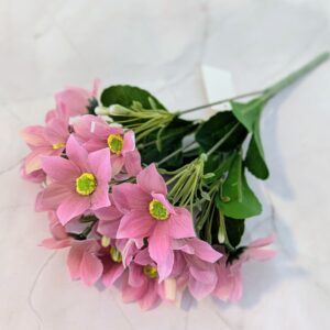 Nebáncsvirág csokor- Világos Mályva