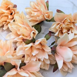 Dekor fejvirág- Barack