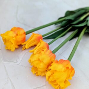 Papagáj tulipán gumi- narancssárga