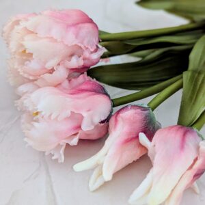 Papagáj tulipán köteg- gumi világos mályva