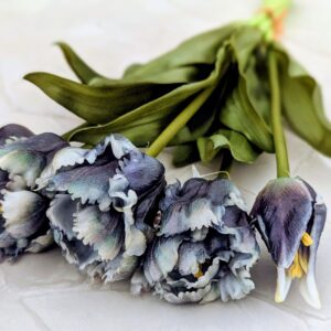 Papagáj tulipán köteg gumi kék