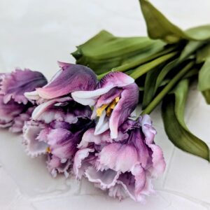 Papagáj tulipán köteg- gumi sötét mályva