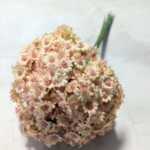 Gipsó rózsaszín 10db/köteg